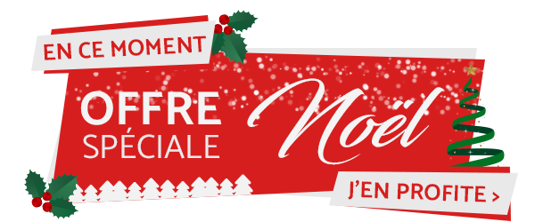 Offre spéciale Noël permis bateau