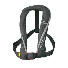 GILET images
